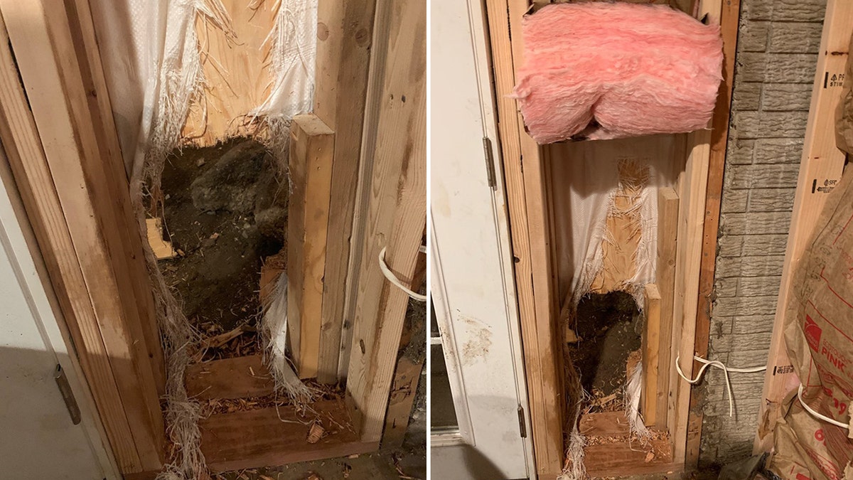 A bear busted through the wall of a home "like the 'Kool-Aid Man'" to evade police capture, the department said.