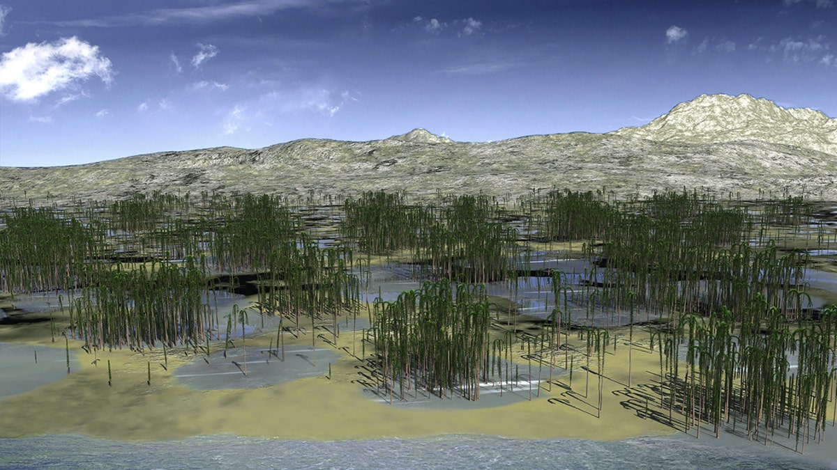 Monospecific lycopsid forest in coastal habitat. The site, the size of 35 football pitches, was full of lycopsid, a branchless tree similar to palm that grew at a time when fish were just beginning to crawl out of the sea. (Credit: SWNS)