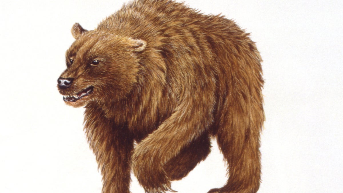 The cave bear also faced shrinking food resources and the start of the last Ice Age.