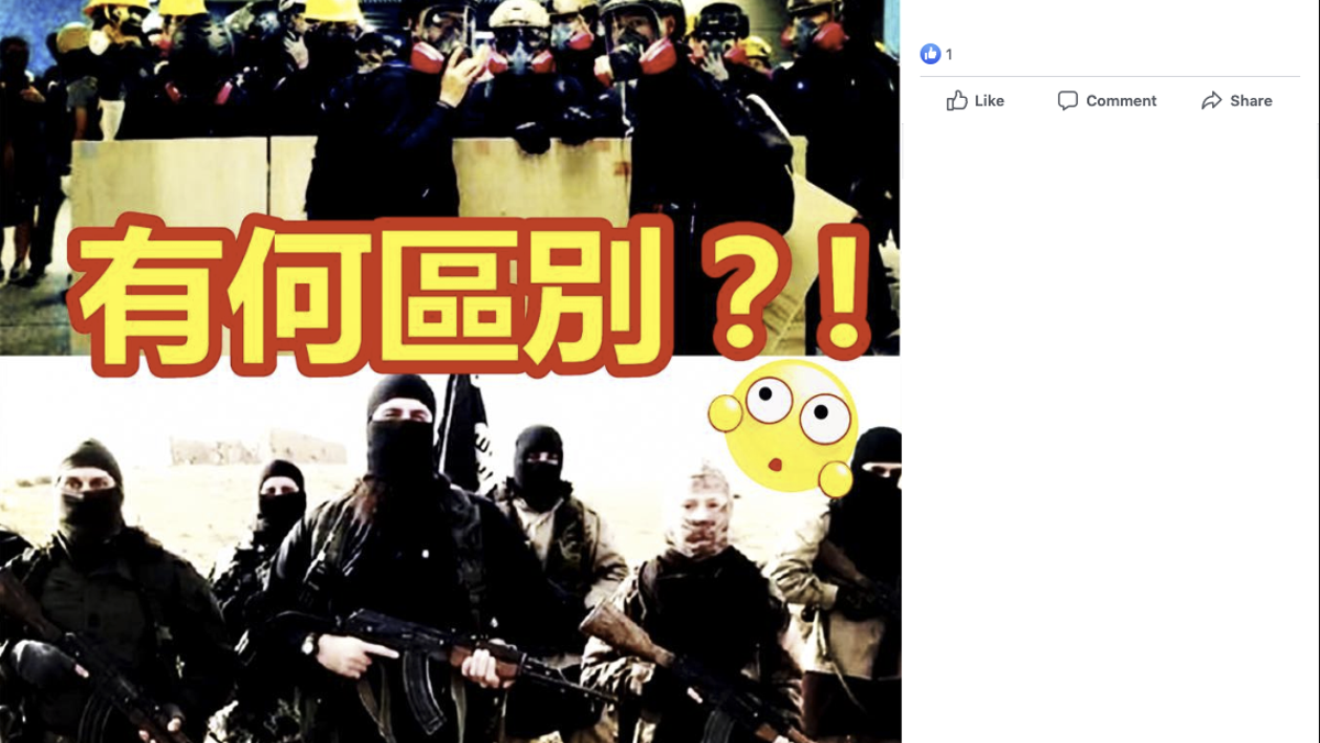 This is a sample of the content posted by some of these pages, according to Facebook. Translation: Protesters. ISIS fighters. What's the difference? (Facebook)