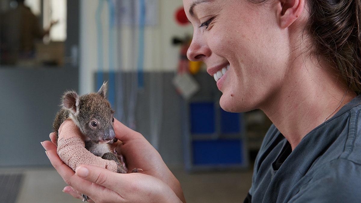 Credit: Werribee Open Range Zoo