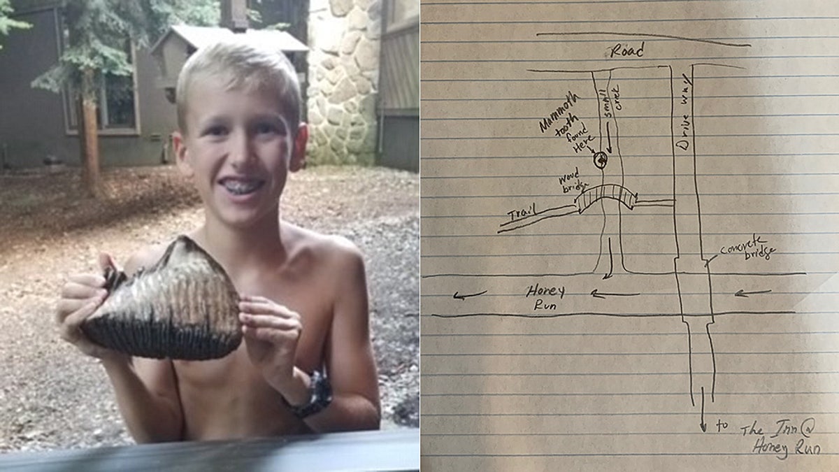 12-year-old Jackson Hepner discovered the woolly mammoth tooth in the grounds of the Inn at Honey Run.
