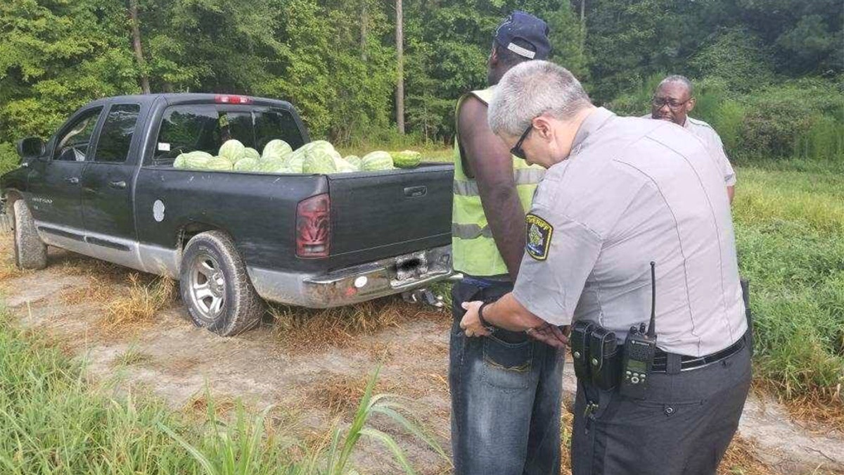 Deputies said two deputies found Michael Bryant with a load of stolen watermelons on Friday near Rocky Mount when they went to check out a theft of crops report. 