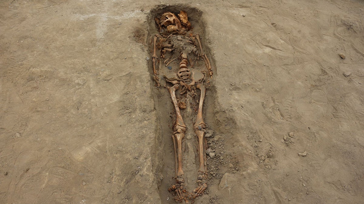 Exclusive: Ancient Mass Child Sacrifice in Peru May Be World's Largest