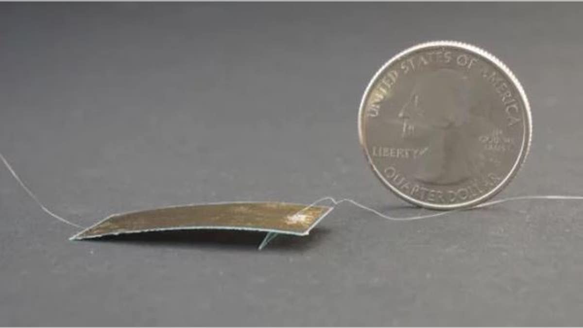 The tiny robot is powered externally, but researchers are working on an onboard battery. (UC Berkeley/Stephen McNally)