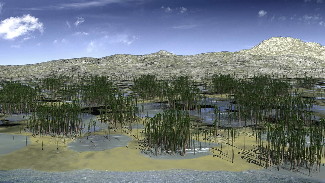 fossil-forest.jpg?ve=1&tl=1