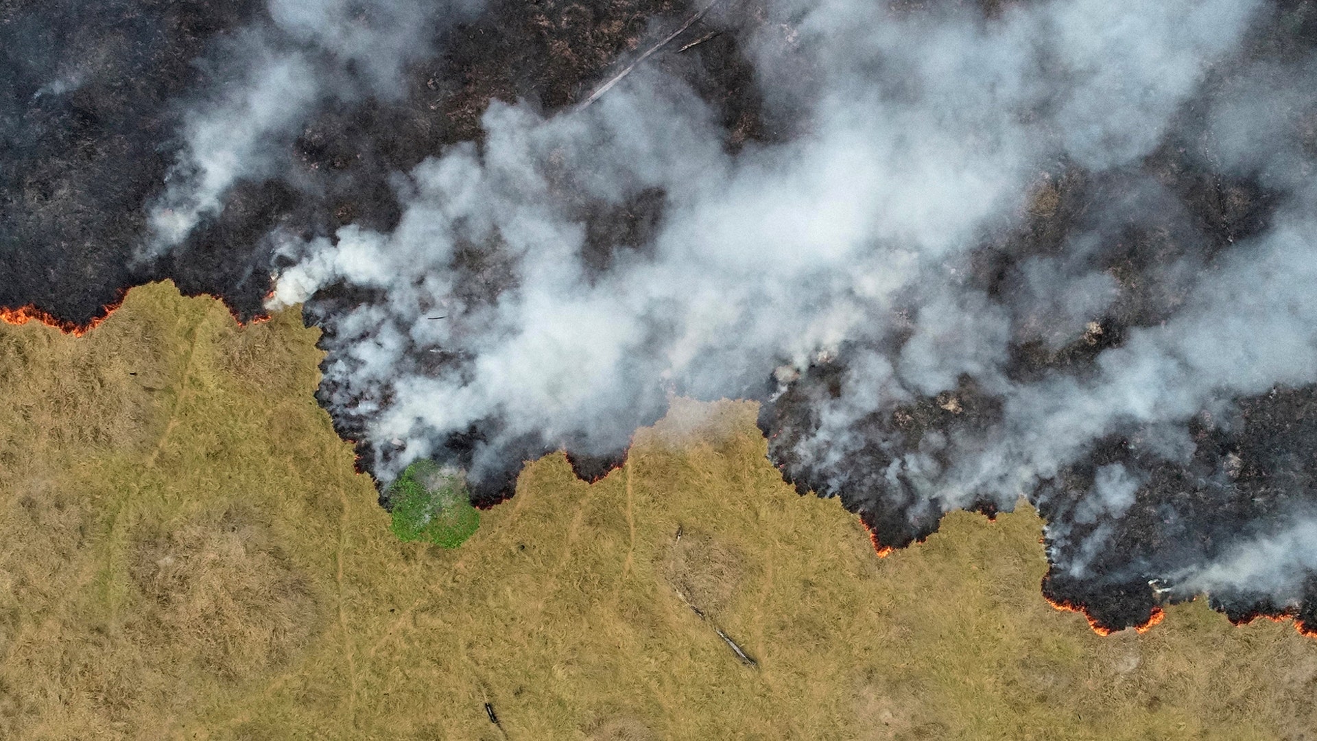 Smoke rises over a deforested plot of the Amazon jungle in Porto Velho, Rondonia State, Brazil, Aug. 24, 2019. 