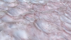 'Watermelon snow' found in Yosemite National Park at high elevation