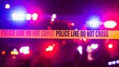 America’s crime drop isn’t a coincidence. Trump’s immigration policies are working