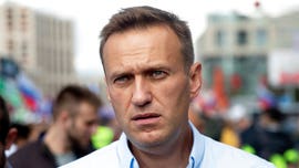 Bank accounts linked to Russian opposition leader Navalny frozen: report