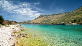 Albanian restaurant owner at center of viral windshield smash video has business torn down