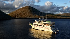 Ecuador navy 'on alert' as 260-strong Chinese fleet nears Galapagos Islands
