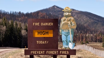 Smokey Bear, mascot of the US Forest Service, turns 75