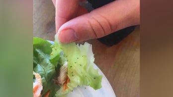 Disney World guests claim they became ill after eating bug-covered food