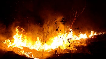 Amazon fires produce 220-degree scorched earth, dense smoke in new NASA images