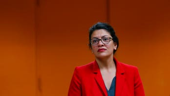 Tlaib hits back at Bill Maher for comments on BDS, compares Israel to apartheid South Africa