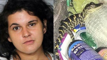 Florida woman sentenced after pulling alligator from her pants during traffic stop: officials