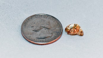 Texas woman finds 3.72-carat yellow diamond during visit to Arkansas park