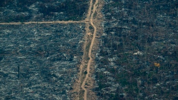 Amazon fires spur Brazil to ban most burning for 60 days