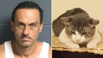 New Mexico man force-fed cat meth, battered girlfriend, police say