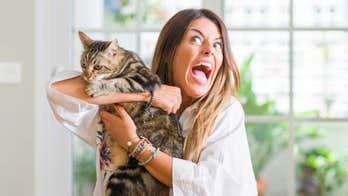 'Crazy cat lady' stereotype has no evidence to support it, study finds