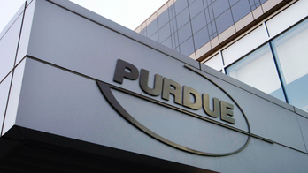 Purdue Pharma's Sackler family used hidden accounts to transfer $1B: court docs