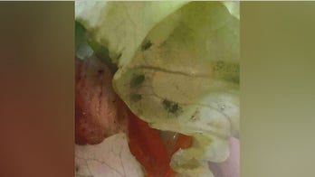 Disney World wants to settle with family over bug-covered food: report