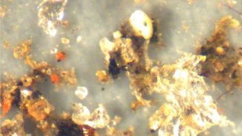 'Ubiquitous' microplastics are airborne, reaching remote Arctic ice