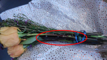 TSA stops traveler with flowers containing hidden knife