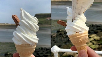 Man shocked as seagull steals his ice cream at beach, hilarious photos show