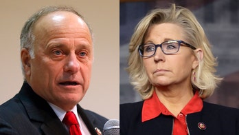 Rep. Liz Cheney blasts GOP colleague Steve King over 'appalling' rape and incest remarks: 'It's time for him to go'