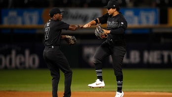 Fans brawl in stands during Chicago White Sox-Texas Rangers game