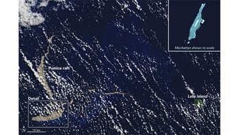 Massive pumice 'raft' could bring marine life to help save Great Barrier Reef