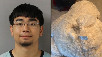 Tennessee teens arrested after police find stolen guns in teddy bear
