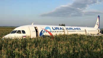 Russian pilot hailed after 'miracle' landing of passenger jet following bird strike