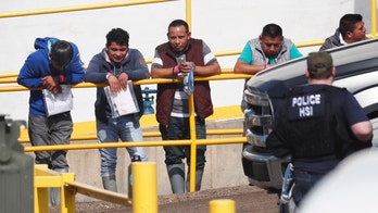 Chicken plants raided by ICE 'willfully and unlawfully' hired unauthorized workers: court documents