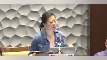 Democratic socialists convention erupts due to 'sensory overload,' gendered pronoun usage