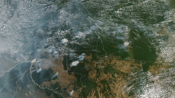 Amazon wildfires can be seen from space, NASA images show