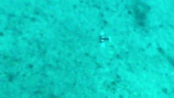 Fishermen rescue 3 plane crash survivors 20 miles off Bahamas coast