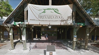 Florida zoo preparing nearly 950 animals to get through Hurricane Dorian