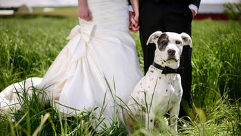 Bride-to-be freaks out when fiancé puts his dog’s surgery over wedding: ‘He’s a member of the family’