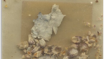 Artifacts from 1986 Challenger disaster up for auction