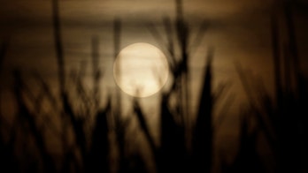 UN climate report: Change land use to avoid a hungry future