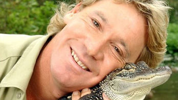 Miami Marlins apologizes after joking about Steve Irwin's death in Twitter spat with Tampa Bay Rays