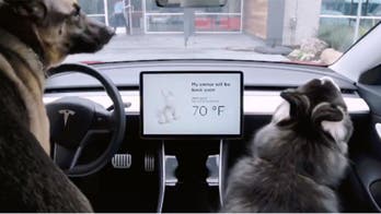 Tesla fixing 'Dog Mode' after owner discovers potentially dangerous issue