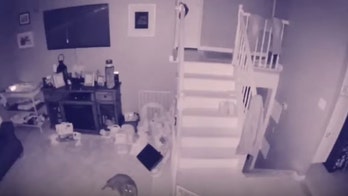 New York home security camera catches a 'ghost' with 'pet'