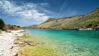 Albanian restaurant owner at center of viral windshield smash video has business torn down