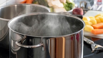 'Vaginal steaming' leaves woman with second-degree burn: report