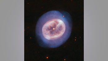 'Jellyfish' star found in deep space