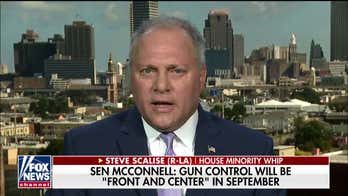 Rep. Steve Scalise doubts 'red-flag' law or other proposed gun reforms would have stopped his attacker